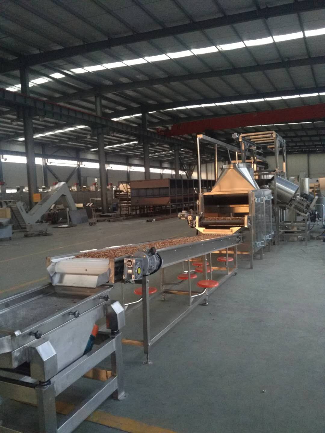 Peanut Frying Line Is Shipped Out